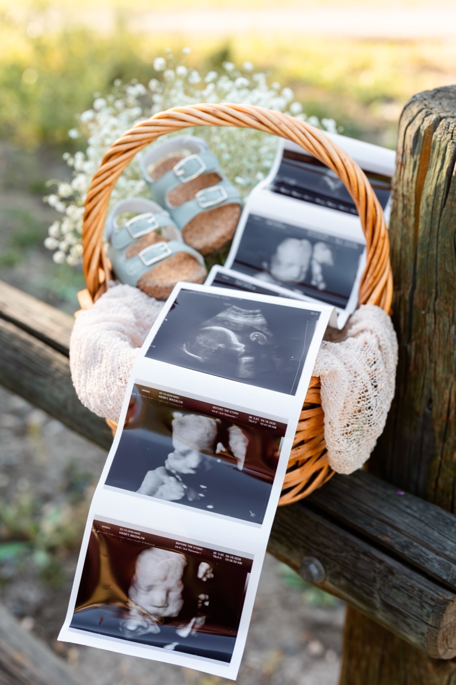 Haney maternity 2 — connection